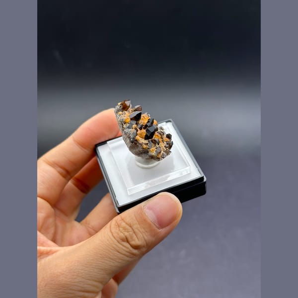 Smoky quartz with orange spessartine garnet from Tongbei, Fujian — alternate view