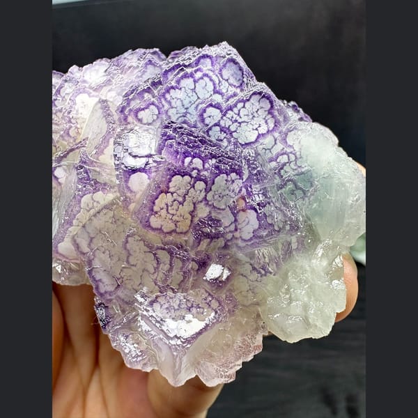 Fluorite with blue core and purple traced edges from Guizhou — complete view