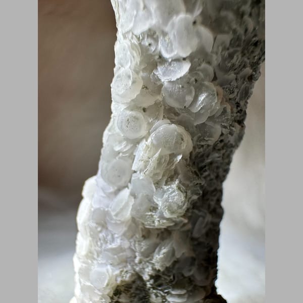 Quartz with Calcite Coating Inner Mongolia 8.5 cm — detail view
