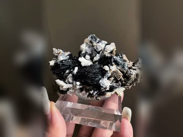 Specular Hematite Rosettes with Feldspar, Black and White Matrix Specimen — complete view