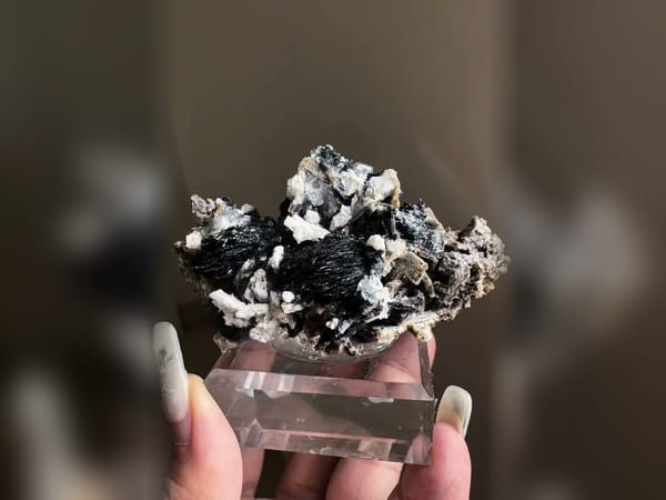 Specular Hematite Rosettes with Feldspar, Black and White Matrix Specimen — alternate view