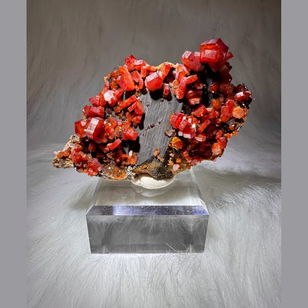 Orange-Red Vanadinite Plate Morocco 7.0 cm — complete view