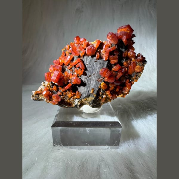 Orange-Red Vanadinite Plate Morocco 7.0 cm — alternate view
