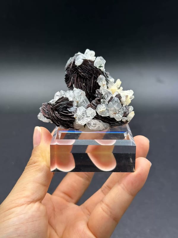 Complete front of specular hematite iron roses with quartz on an acrylic base