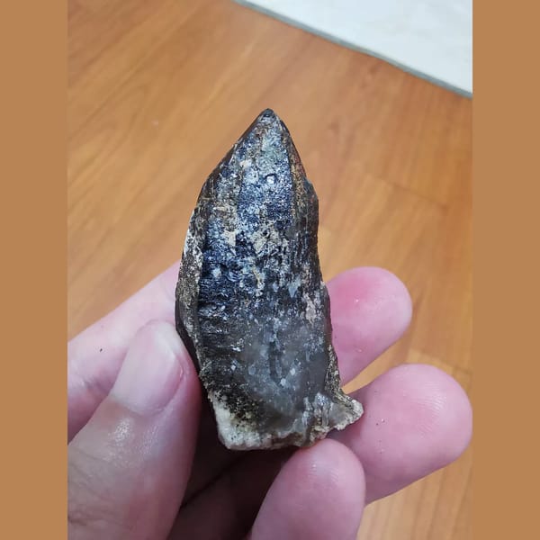 Mirror-lustered black quartz from Inner Mongolia — detail view