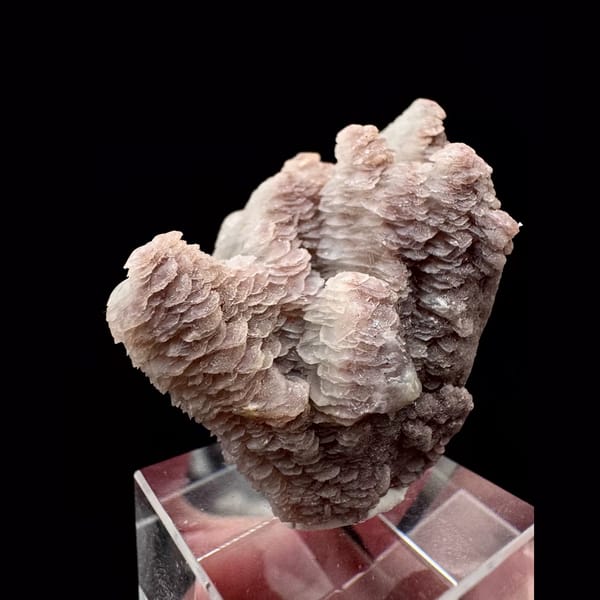 Two-tone pink and white layered petal calcite from Inner Mongolia — complete view