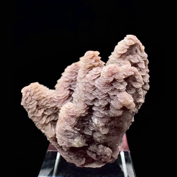 Two-tone pink and white layered petal calcite from Inner Mongolia — alternate view