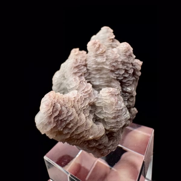 Two-tone pink and white layered petal calcite from Inner Mongolia — alternate view