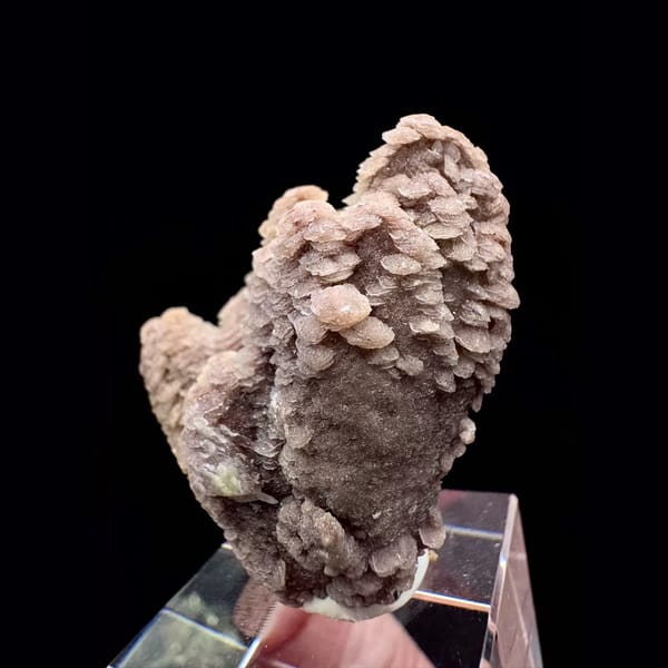 Two-tone pink and white layered petal calcite from Inner Mongolia — detail view