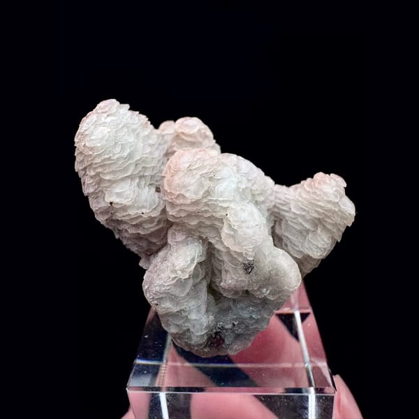 Two-tone pink and white layered petal calcite from Inner Mongolia — detail view
