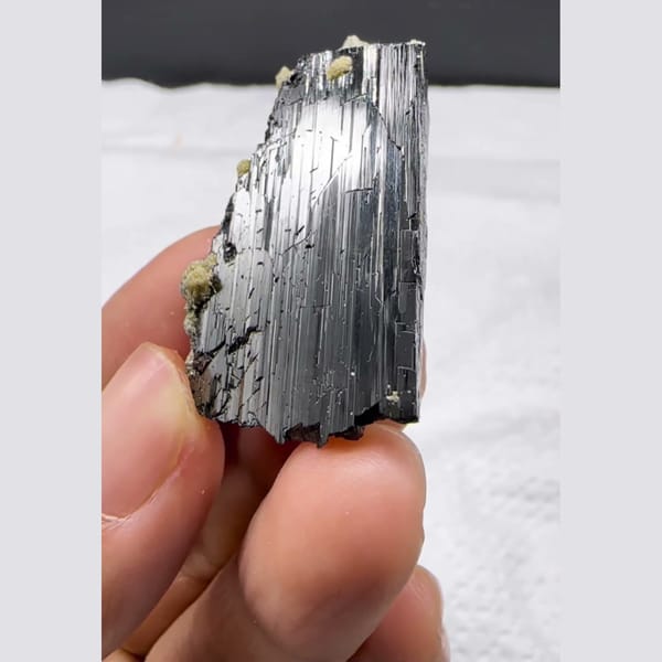 Lustrous Wolframite with Mica Yaogangxian 4.0 cm — complete view
