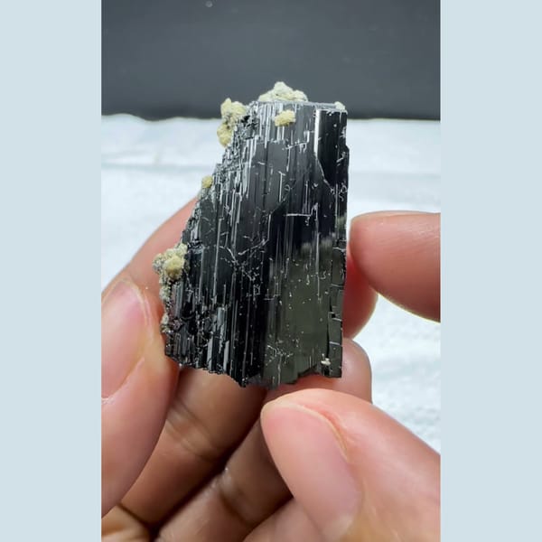 Lustrous Wolframite with Mica Yaogangxian 4.0 cm — detail view