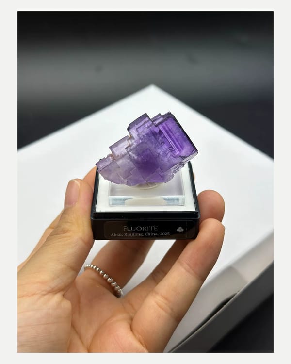 Complete front oblique view of the purple phantom fluorite from Aksu, Xinjiang