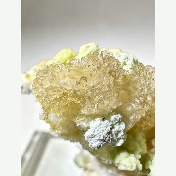 Pale Yellow Creedite with Green Accents 5.0 cm — detail view