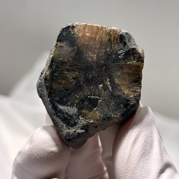 Staurolite from USA — complete view