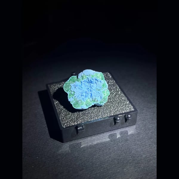 Blue chrysocolla with malachite from the DR Congo — detail view