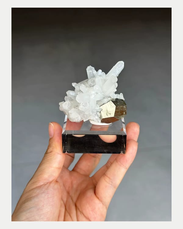 Complete front view of metallic pyrite crystals with white quartz