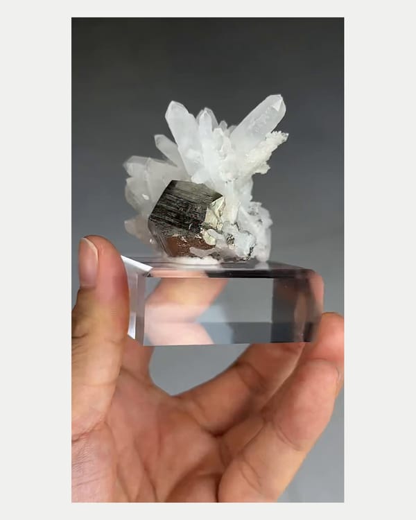 Complete opposite side view of metallic pyrite beside quartz
