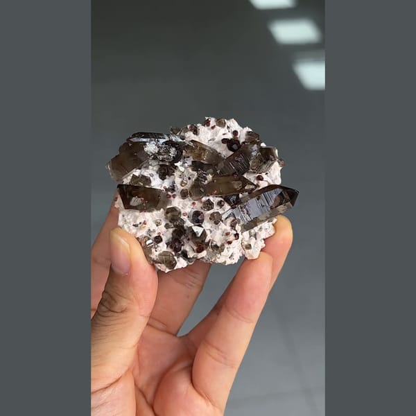 Spessartine association from Yunxiao — complete view