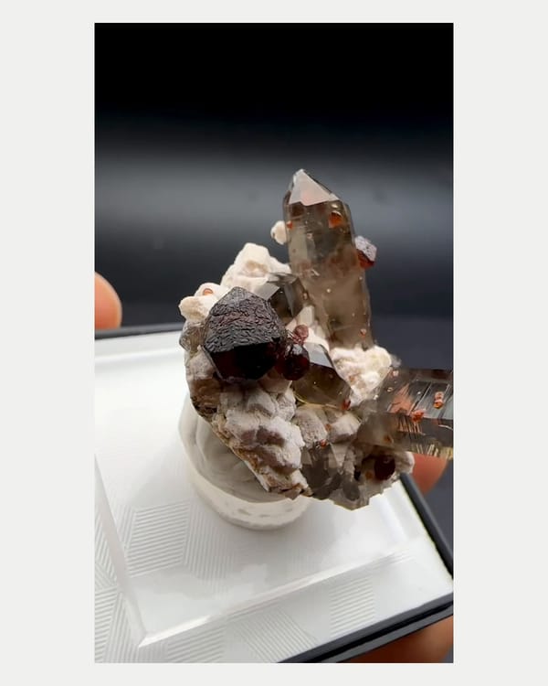 Complete reverse view of v-shaped smoky quartz with spessartine