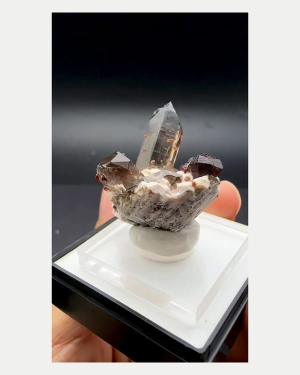Complete right oblique view of v-shaped smoky quartz with spessartine