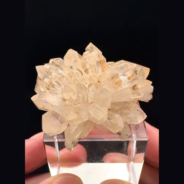Champagne quartz flower rosette from Namibia — complete view
