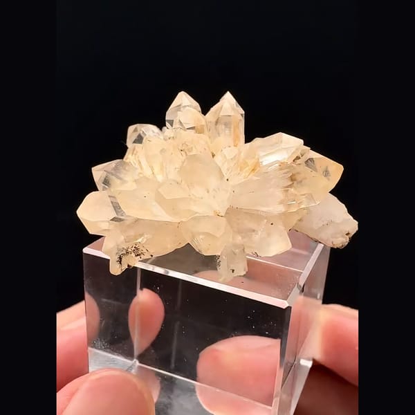 Champagne quartz flower rosette from Namibia — alternate view