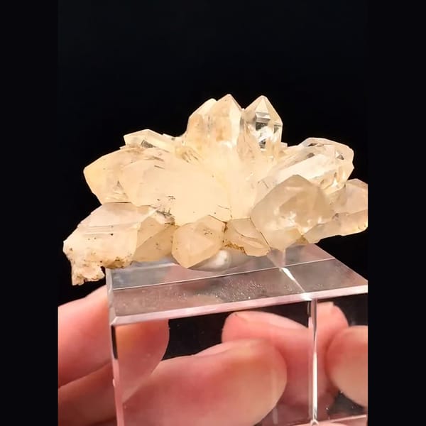 Champagne quartz flower rosette from Namibia — detail view
