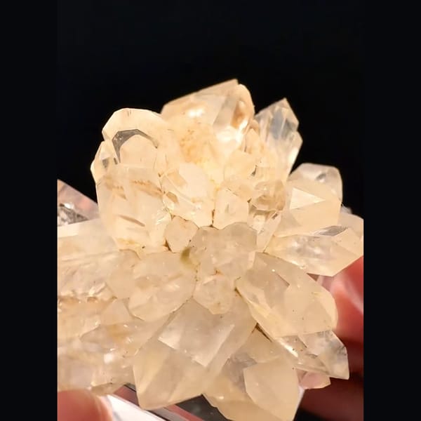 Champagne quartz flower rosette from Namibia — detail view