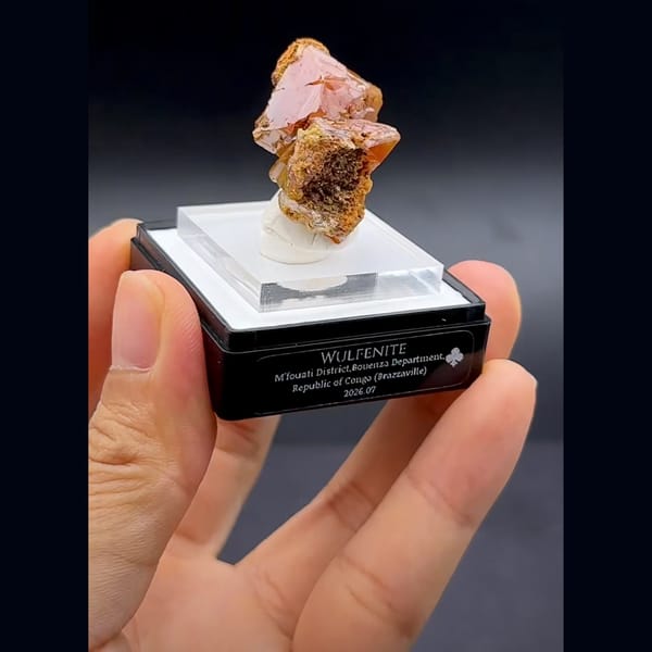 Wulfenite Thick Plates, Congo