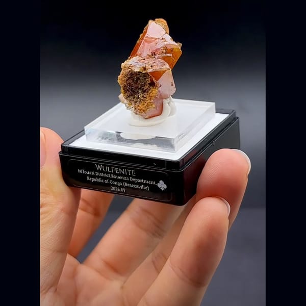 Thick wulfenite plates from the Congo — alternate view