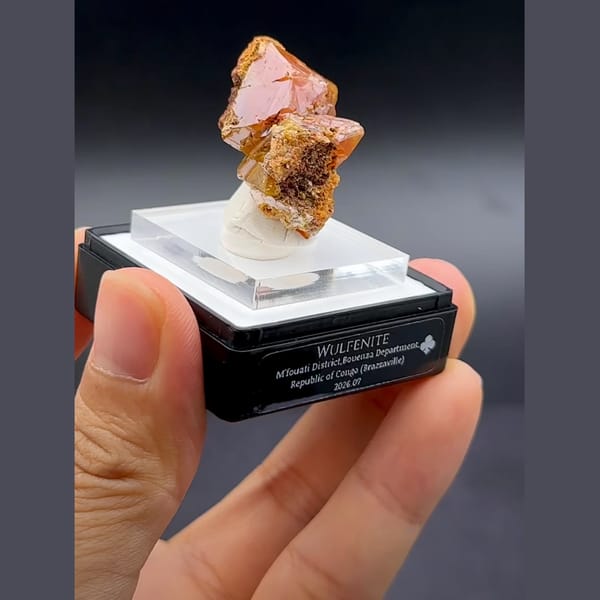 Thick wulfenite plates from the Congo — alternate view