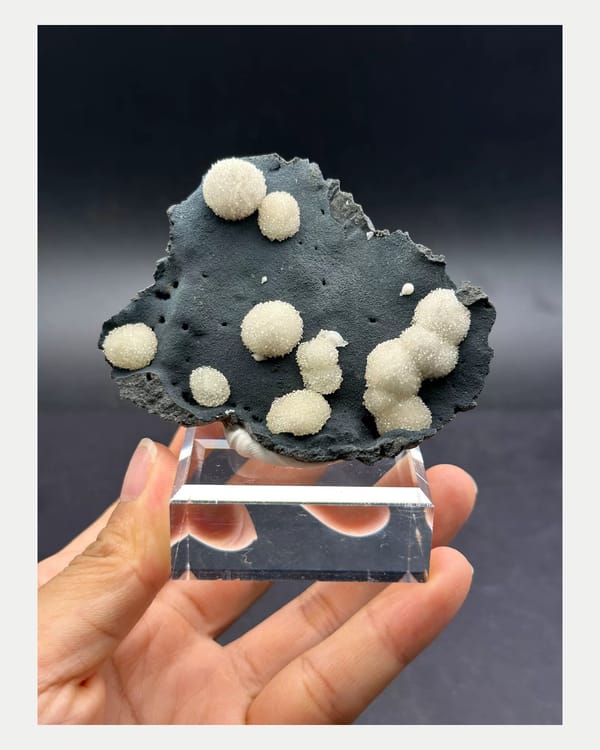 Complete broad face of white spherical calcite on dark Vietnamese matrix