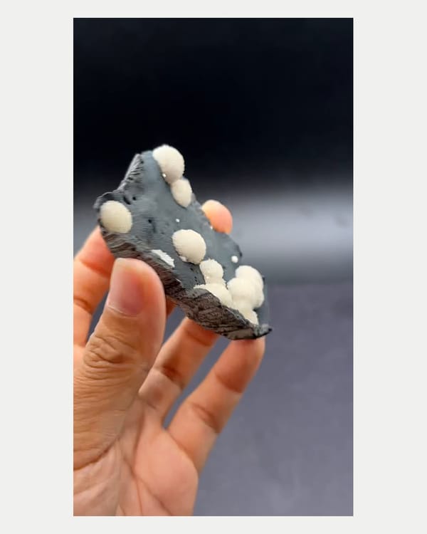 Complete thin edge view of calcite on dark matrix plate