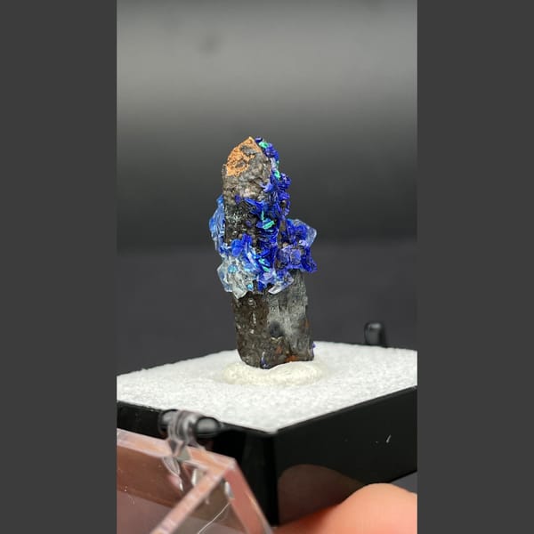 Deep blue azurite with malachite on limonite-coated quartz from Morocco — detail view