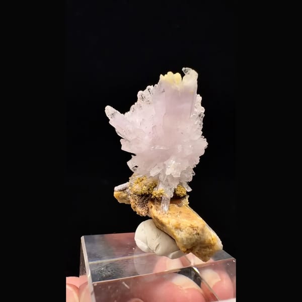 Lilac-white creedite spray on matrix from Guizhou — complete view