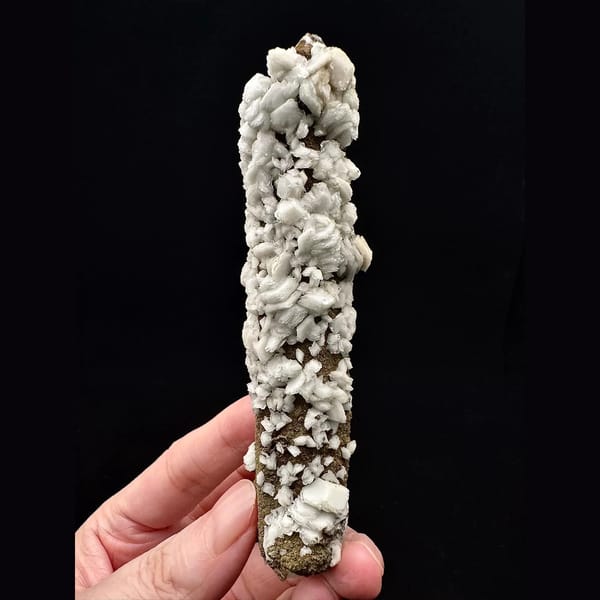 Slender quartz crystal with white petal calcite from Inner Mongolia — complete view