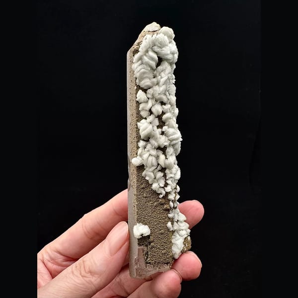 Slender quartz crystal with white petal calcite from Inner Mongolia — alternate view