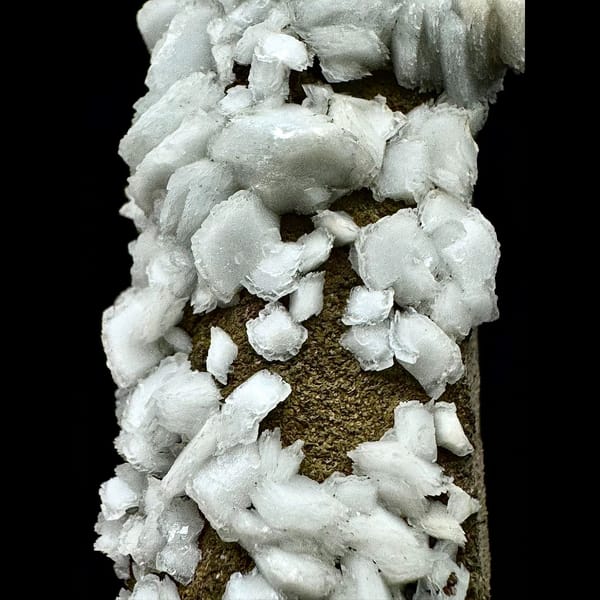 Slender quartz crystal with white petal calcite from Inner Mongolia — detail view