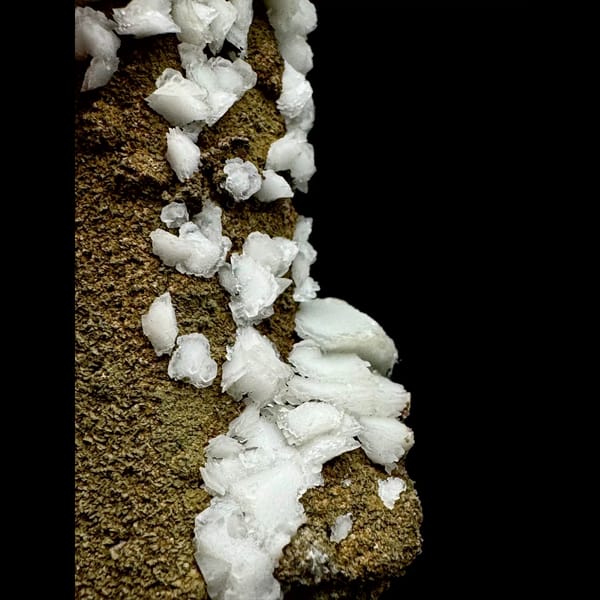 Slender quartz crystal with white petal calcite from Inner Mongolia — detail view
