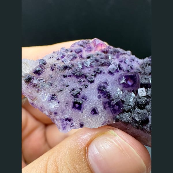 Plate of purple fluorite cubes with pale windows from Henan — complete view