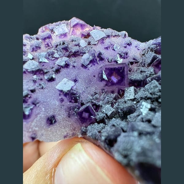 Plate of purple fluorite cubes with pale windows from Henan — alternate view