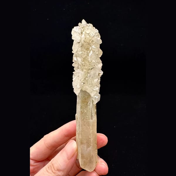 Slender quartz crystal with clear petal calcite from Inner Mongolia — complete view