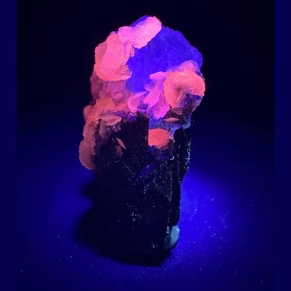 Wolframite with Petal Calcite Yaogangxian 3.0 cm — complete view