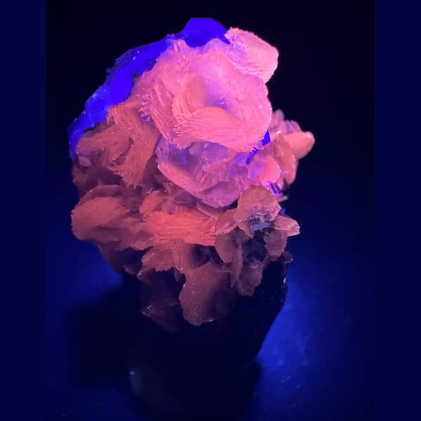 Wolframite with Petal Calcite Yaogangxian 3.0 cm — alternate view