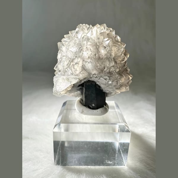 Quartz with Apophyllite Plates Inner Mongolia 3.5 cm — complete view