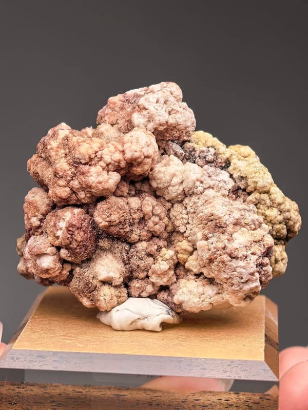 Multicolor Popcorn Gypsum Garden Cluster — individual mineral specimen view 1