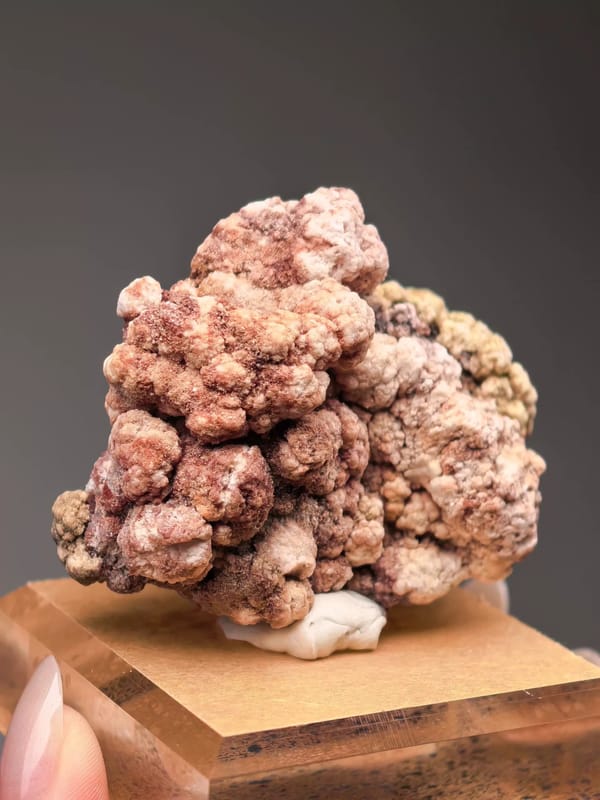 Multicolor Popcorn Gypsum Garden Cluster — individual mineral specimen view 2