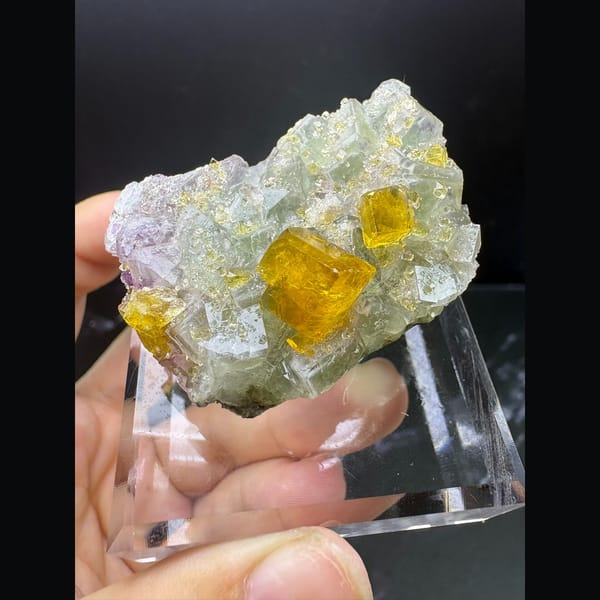 Golden yellow barite crystals on pale green fluorite from Ruijin — detail view