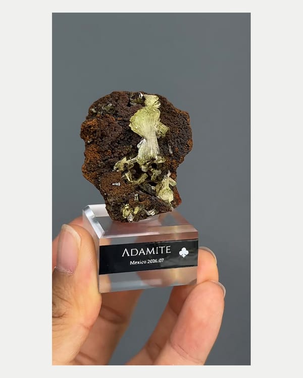 Complete front view of pale yellow adamite on brown matrix